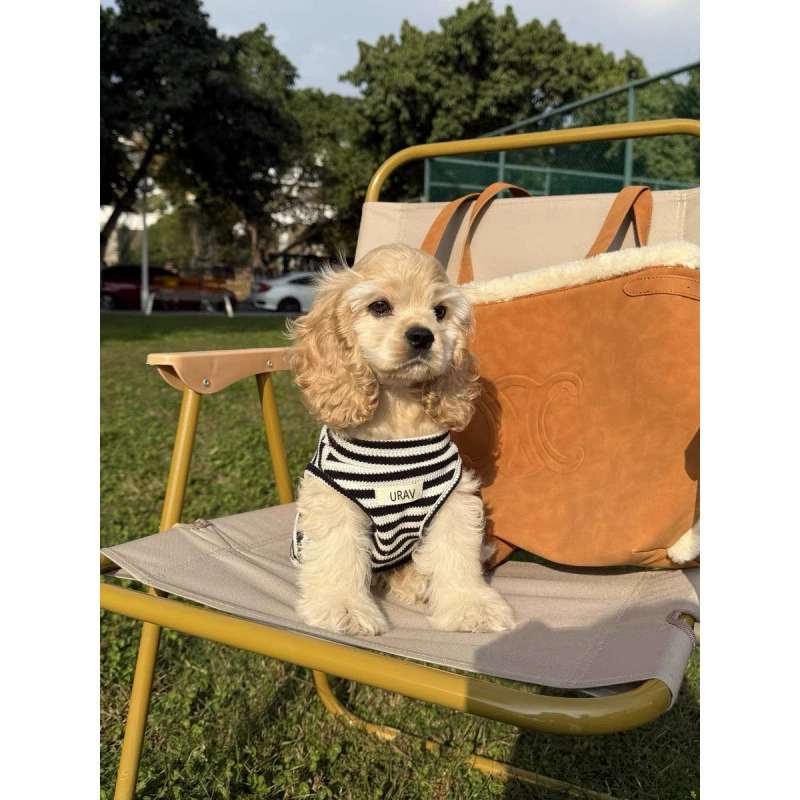 Маленькая собачка одежда для домашних животных Летняя тонкая дышащая полосатая жилета Маленькие щенки Помес Шона Мальзис