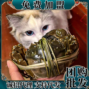 �K�ݴ��lзꖳήa�^ֱ�l�r���з���l���l����YƷ�������ˈFُ