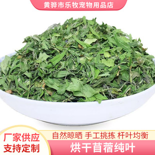 ����ϻ���ޣ�ݼ��~�ɲ����ӼZ������������Ħ������؈����ʳ�ò�