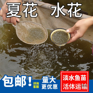 ˮ���~�����l�a�~�~���~���^�����������~���~����~�N���~