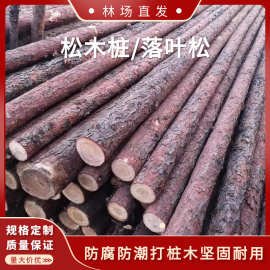 批发林场直发河道防汛打桩木落叶松油松杉木原木3米4米松木桩6米