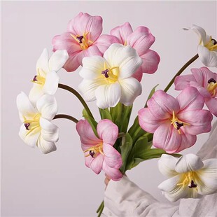 ������PU��������滨�����Ҿ��b͏d�����b[�������ٻ��廨