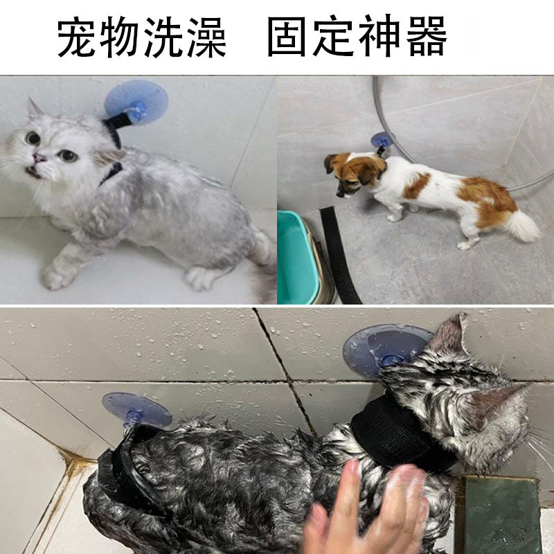 アマゾン猫犬共通美容入浴牽引ペット付き入浴固定首輪神器吸盤固定首輪|undefined