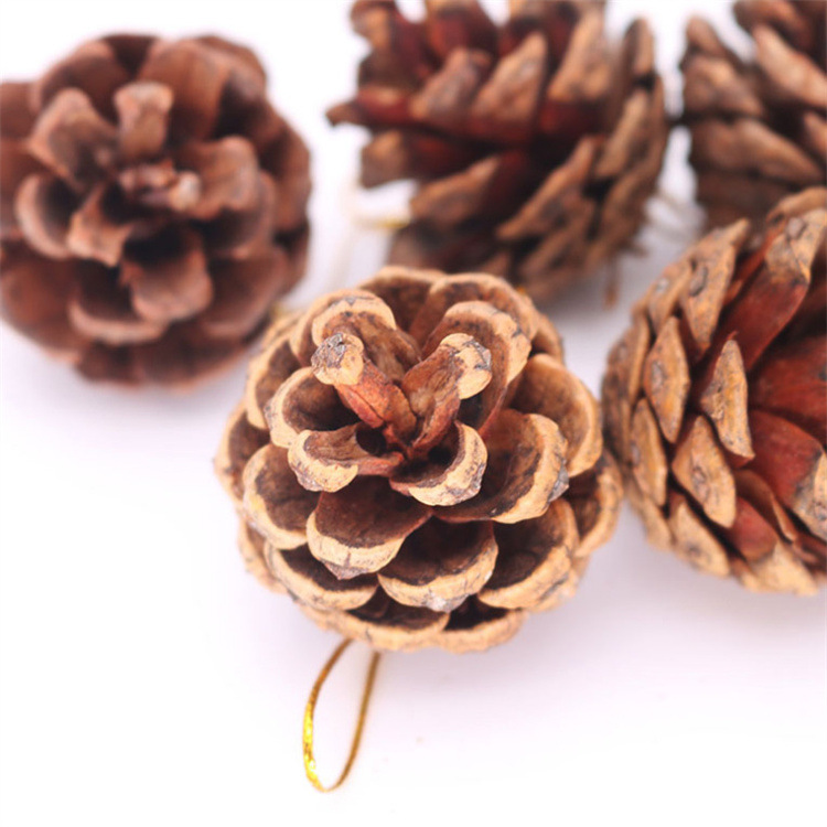 Abierto puro natural Pino cono Navidad decoración Navidad suministros escena Decoración Accesorios árbol de Navidad Accesorios