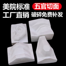五官切面石膏像五官实面摆件石膏美术教具素描绘画美术静物石膏像