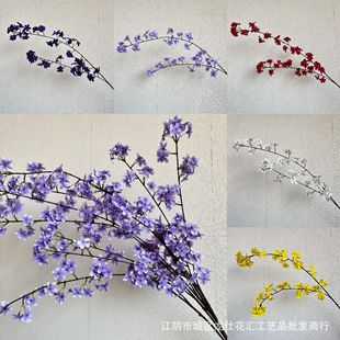 2���滨 �U���b��滨 �L֦�ѻ� ��Y�ò��÷�����ؼ��һ���֦