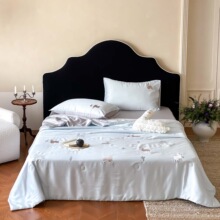 �֠���2026�¿�60S�m����z�̽��ı��ļ���-��� 150*200cm���ı�