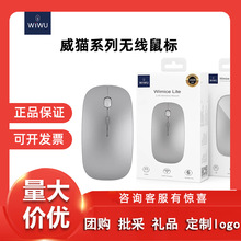 ������WiWU�o���{������pģ�k���o���o����؈ϵ��WM101 Pro��X