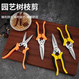 不锈钢强力电工剪铁皮剪多功能园林修枝剪家用便捷花艺盘栽摘果剪