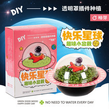 星球植物盲盒小学生儿童节礼物绿植盆栽幼儿盆景观景学生创意奖品