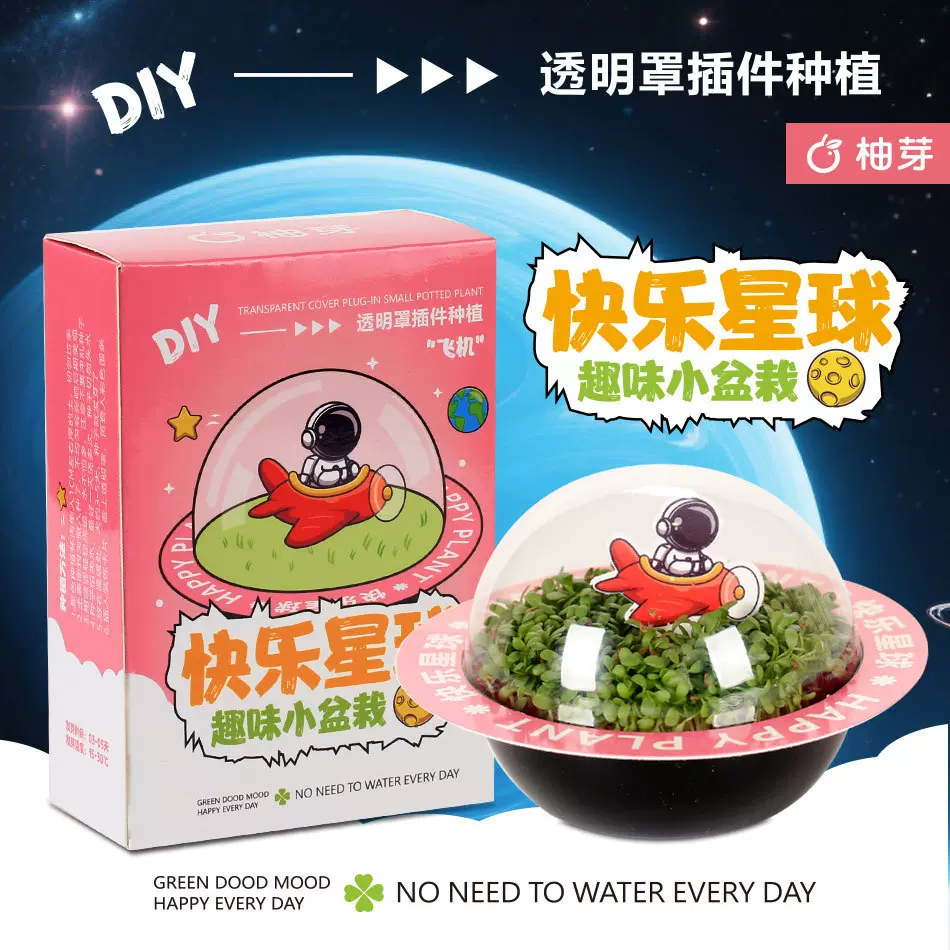 圣诞礼物趣味植物盲盒小学生室内diy绿植盆栽好养活花卉盆景摆件
