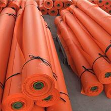 �V���LͲ�� �V����ȼ�Ͳ  �V��ؓ���LͲ �������LͲ��s�Ǽ��LͲ