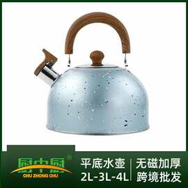 跨境不锈钢大容量鸣音水壶木纹烧水壶户外茶壶喷色燃气电磁炉适用