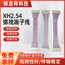 XH2.54排线端子线 红黑蓝白排线灰排线加工定单头双头同向正反向