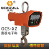 OCS-CZ wireless remote control Hanging pounds 1T-10T Look Drive Electronics Crane Scales Aluminum shell Single display