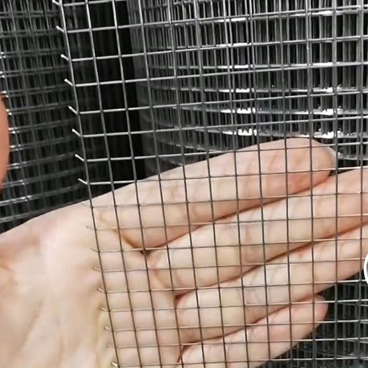 防护不锈钢丝焊网