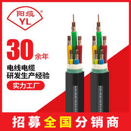 YJV/YJLV交联乙烯绝缘聚氯乙烯护套电力电缆0.6~1KV 4X16+1X10
