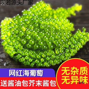 �����Ѽ�ʳ��ͯ�}�n�������r�����ˮ���Ѻ����߲˾Gɫ�~���u����