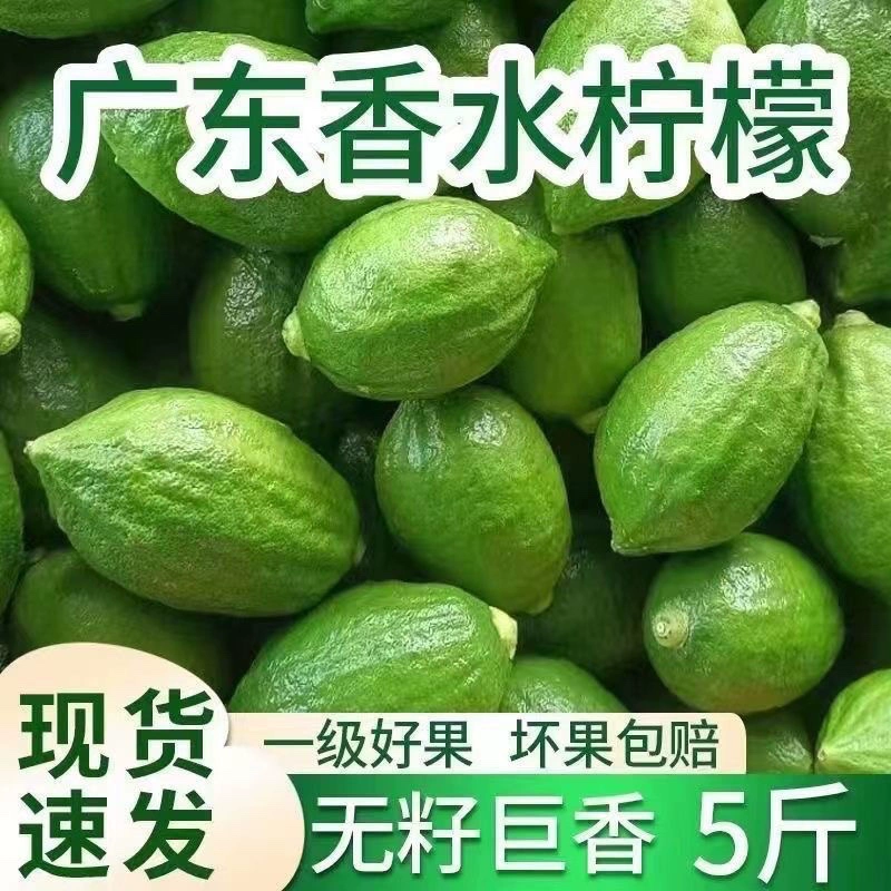 Лимон из Гуандуна, без косточек, высший сорт, для лимонного чая ручной работы, коммерческий лимон для кафе и магазинов молочного чая