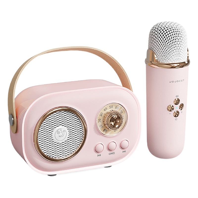 Transfronterizo C20 micrófono inalámbrico micrófono todo en uno Bluetooth inalámbrico canción nacional K canto infantil audio familiar