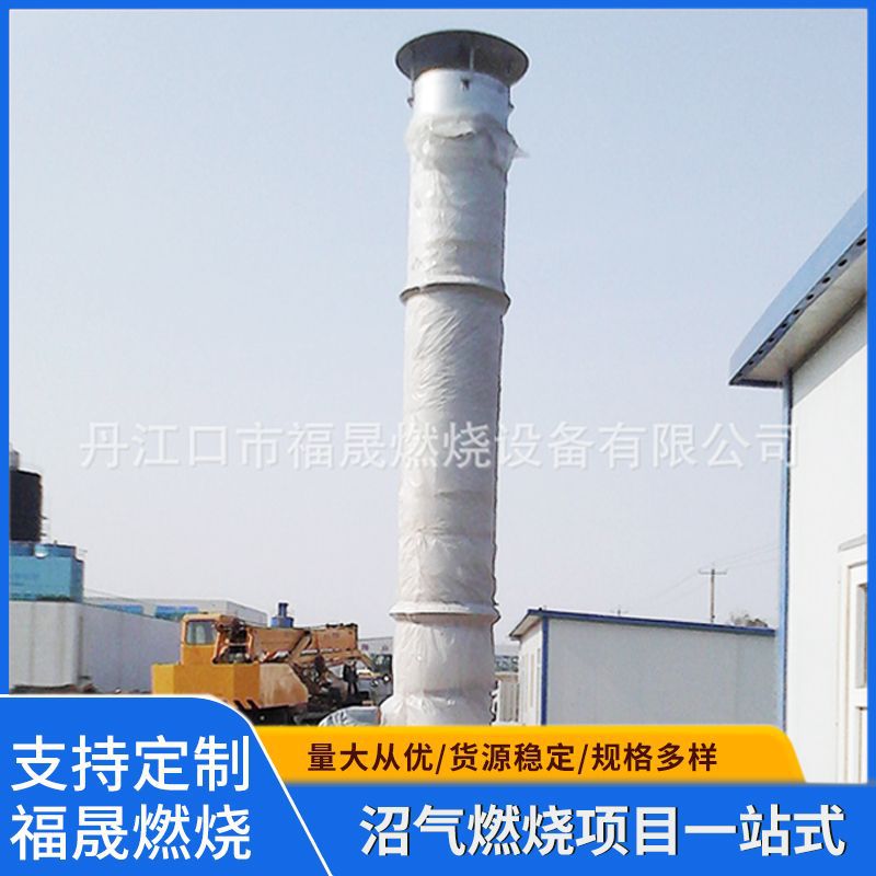 600-800立方内燃式沼气火炬 垃圾填埋场处理设备 沼气治理