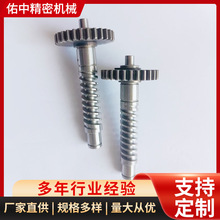 蜗轮蜗杆组件工厂微型金属铜蜗轮组件小模数斜齿轮双联齿轮组件