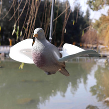 ����@�֑����b�Ʒ ����ע���T�D���BPigeon �����L�ӳ������