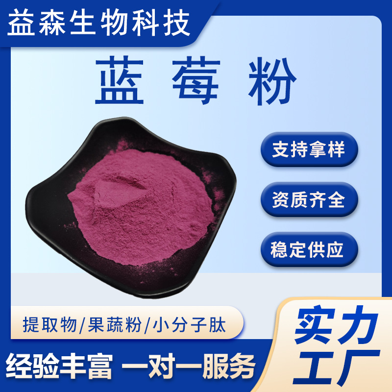 蓝莓粉速溶固体饮料食品原料蓝莓提取物果蔬代餐粉现货包邮食品级