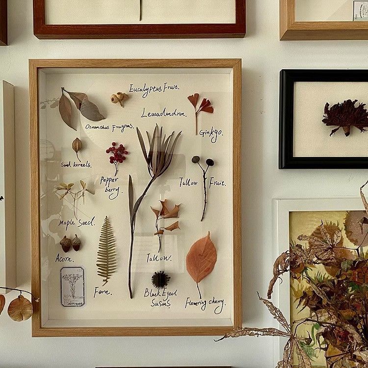 hollow stereo photo frame diy handmade butterfly animal leaves stone fruit plant specimen display frame table