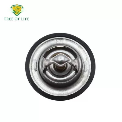 96143939 for Chevrolet Thermostat