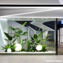 ������ط���Gֲ�쾰�M���҃Ⱦ��^ֲ��Ҿ��̈������b�������