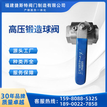 锆合金锻造高压浮动球阀 二片式 耐腐蚀 耐高压