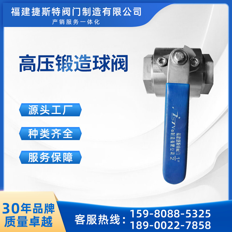 锆合金锻造高压浮动球阀 二片式 耐腐蚀 耐高压