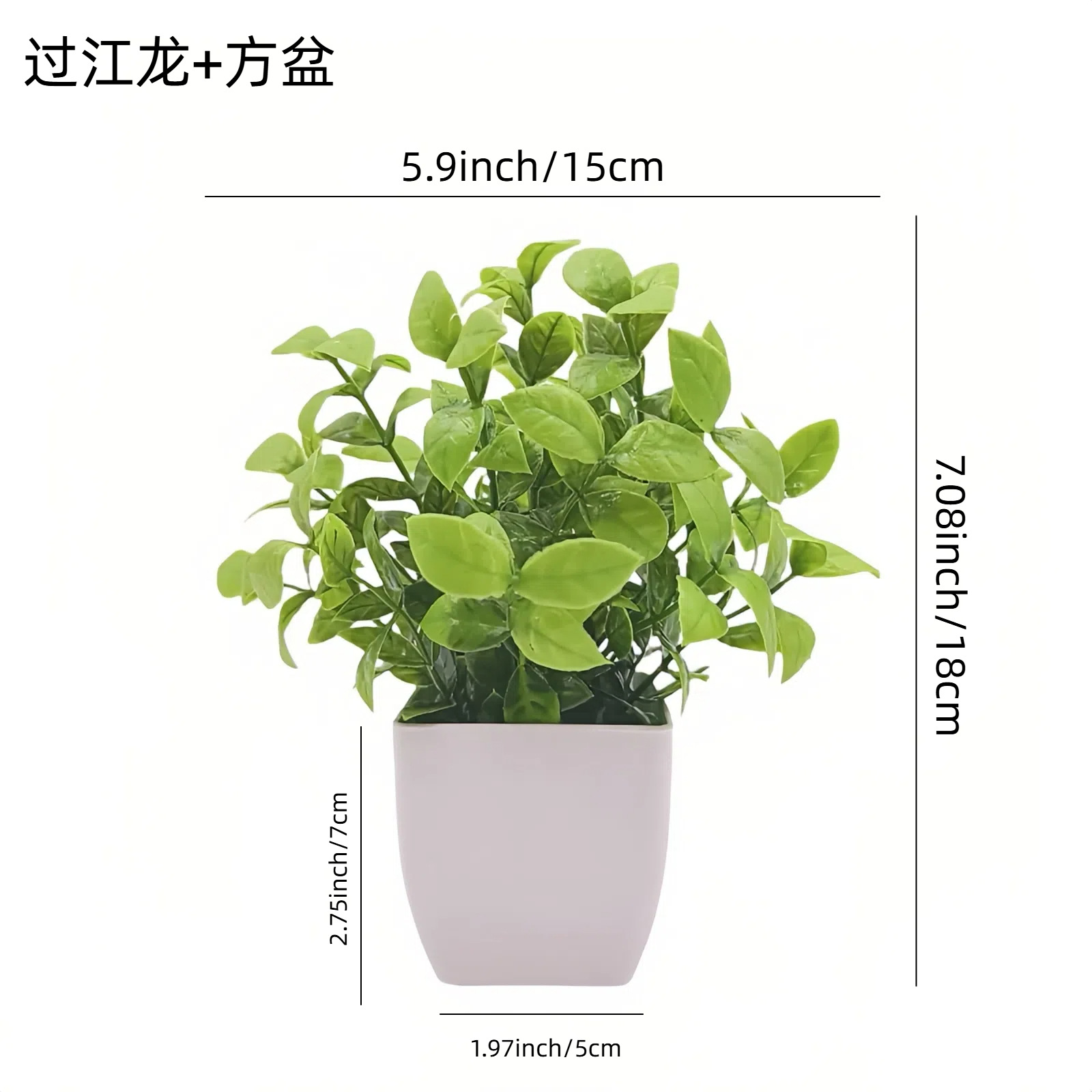 Venta al por mayor transfronteriza de Amazon: Juego de 10 mini plantas artificiales en maceta para decoración del hogar, eucalipto, lavanda, bonsái image 3