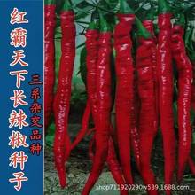 t¼tNӳƷNsLSa罷u߲