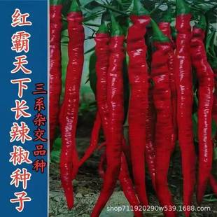 �t�����¼t�����N�ӳ�����Ʒ�N�s�����L�����S�a�罷���u�����߲�