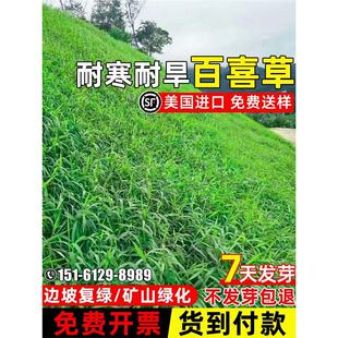 ��ϲ�ݲ����ͺ��ͺ�߅�;G���~ȸ�޲ݷN�͸ߜصVɽ�G����ƺ�N��