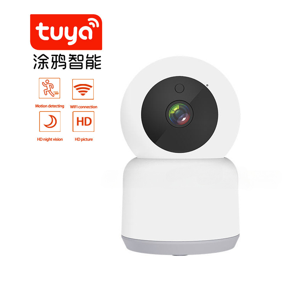 Monitor, CCTV camera, wireless videocamera for home use indoor