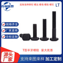 �F·�C܇܇�v��T���^��˨DIN25192-1978