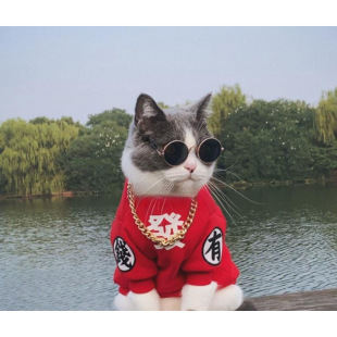 Pet Cat Dog Clothes fleece-lined Thickened Sweatshirt Small and Medium-sized Dog Cute Blue Cat Muppet Clothes Anti-hair