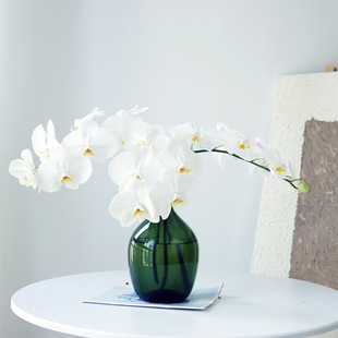 ��ɫ�����m�r�л��r�����ֱ�lv3����ˮ���滨�廨�������������m