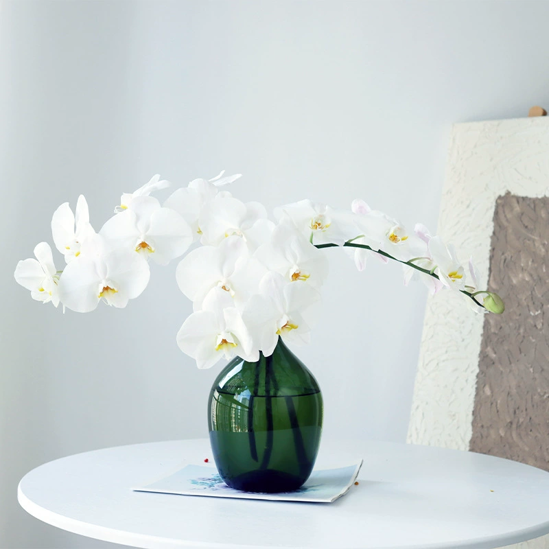 Белые цветы фаленопсиса, свежие вырезанные цветы Юньнань, прямые волосы v3, цветы, гидропоника, настоящие цветы, цветочная композиция, букет, держащие цветы, бабочка, орхидея