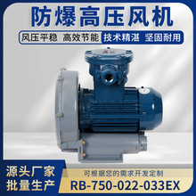 ľ�S���Ļ�����ș��ȼ�ױ��ۉm�������íh�η�������RB�߉��L�C