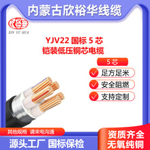 ZC-YJV22~оzb5о6 10 16 35 70 95ƽ˽ϩ|