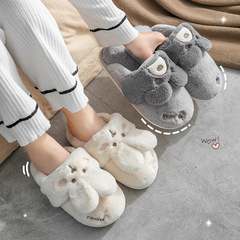 Autumn and Winter Cotton Slippers for Women Cartoon Couple Home Non-slip Plush Heel Slippers for Men to Wear Out in Winter Wholesale