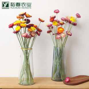 ��������Վ��U�߲ʾ��r�ղ��}�ոɻ�diy���ļҾߔ[�ń���Ҿ��
