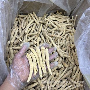 �a������ɽ�|�ĵǻ��셢����֦�l�F؛���l500g����]����