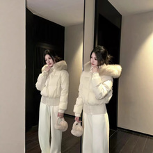 ��ë�I�Bñ�̿���q��Ů2025�����¿�����qС����������ů�����