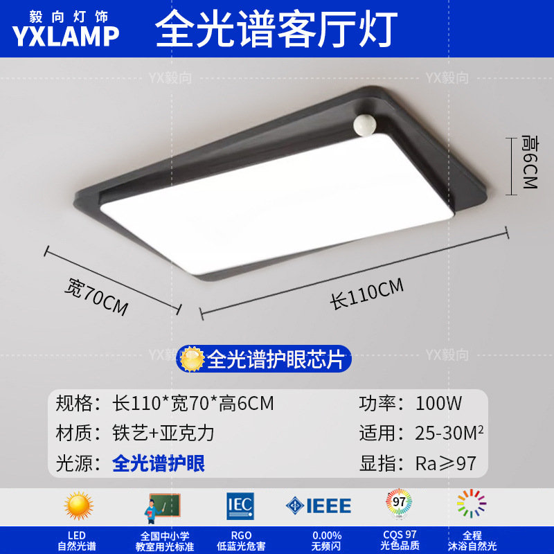 Luz de techo minimalista italiana sala de estar luz principal LED atmósfera creativa simple negro de alto nivel protección de ojos lámpara de dormitorio principal