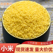 �SС�����lɢ�b�r����ŴС��25kg����s�Z��С��